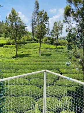 The green wood ooty